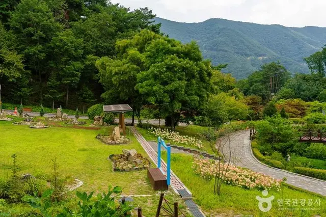 백두대간 생태수목원 사진