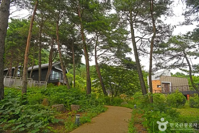 구례 야생화테마랜드 사진