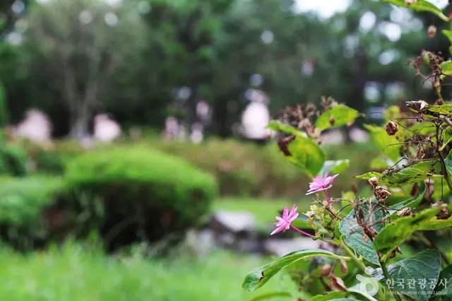 송림공원 사진