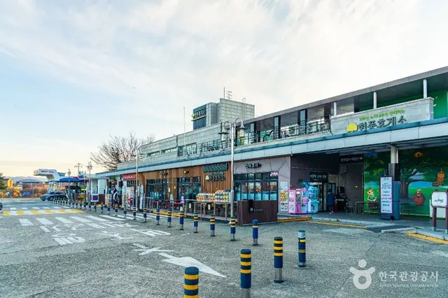 현풍 500년 느티나무 테마공원 사진