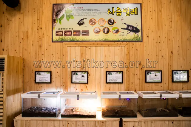 담양곤충박물관 사진