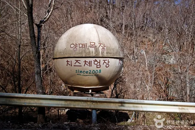 양떼목장 임실치즈마을 사진