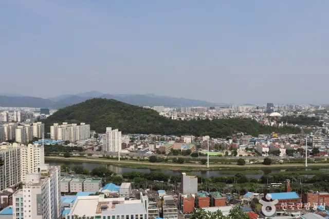 침산공원 사진