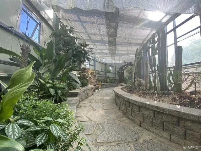 설악산 자생식물원 사진