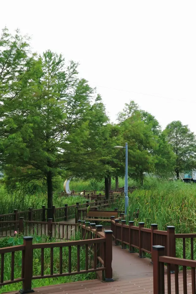 왕송호수공원 사진