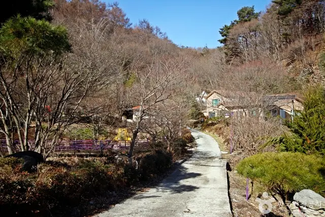 양떼목장 임실치즈마을 사진