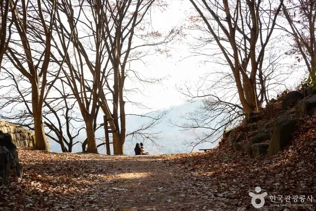 만인산 자연휴양림 사진