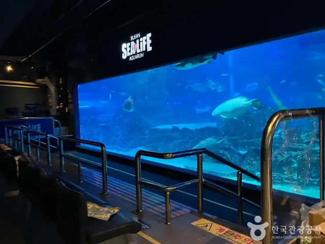 씨라이프부산아쿠아리움 사진