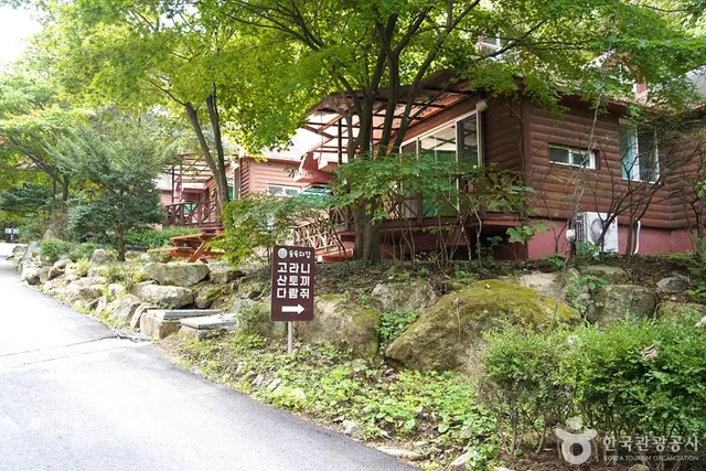 치악산자연휴양림 사진