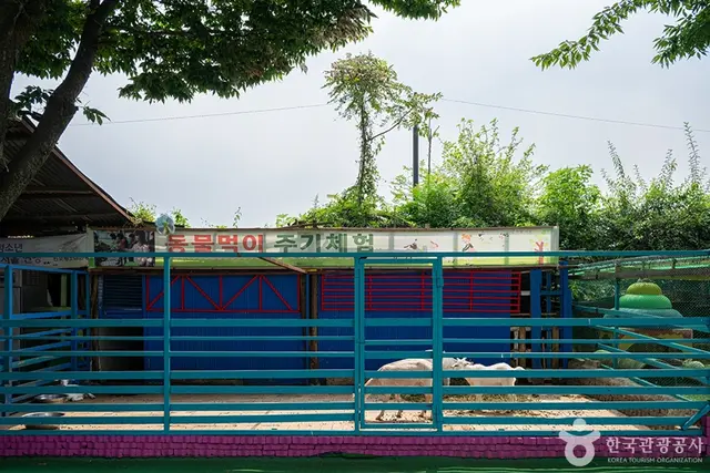 고양낙농치즈테마체험장 사진