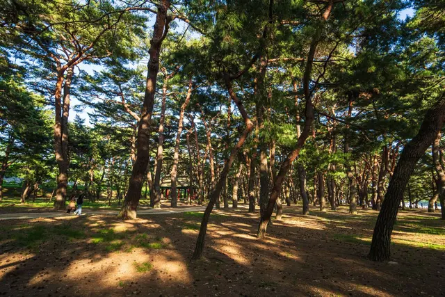하동송림공원 사진