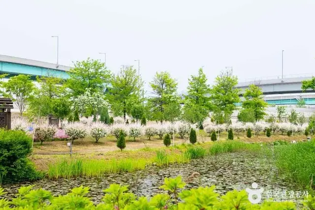 구리한강시민공원 사진