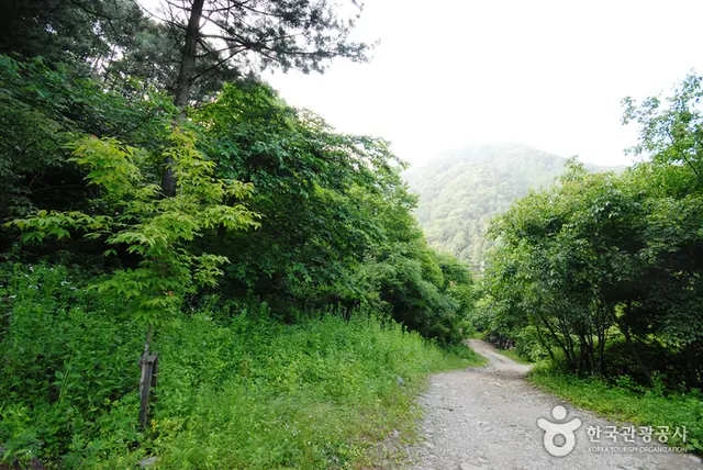 중미산자연휴양림 사진