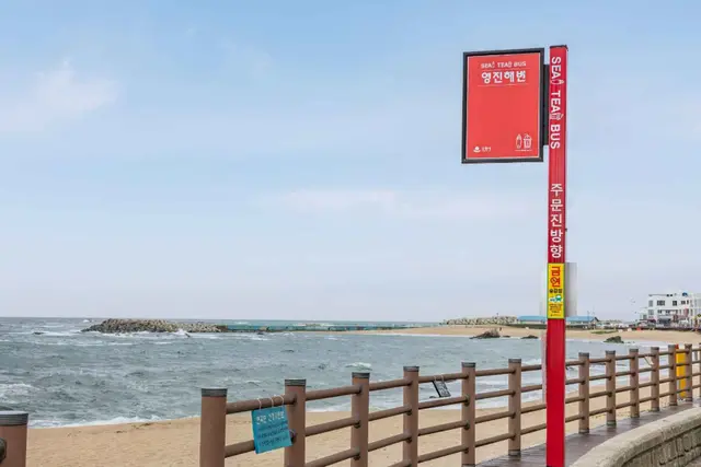 영진해변 사진