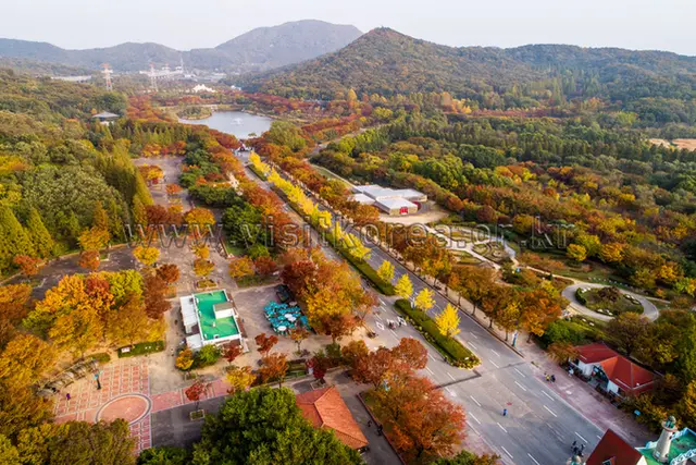 인천대공원 사진
