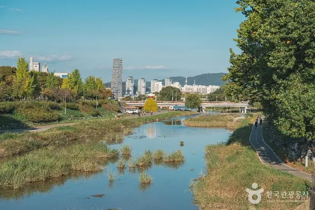 갑천 사진