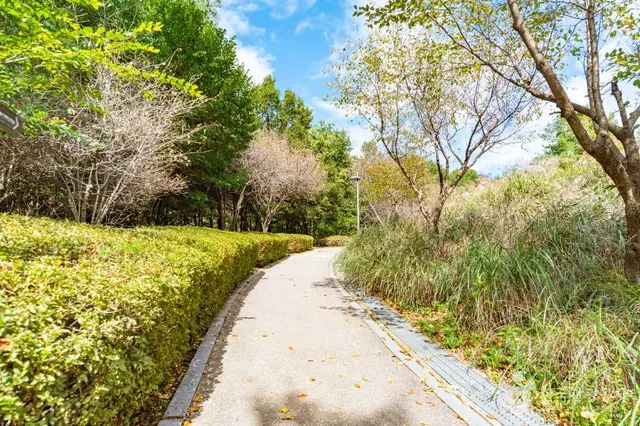 봉화산근린공원 사진