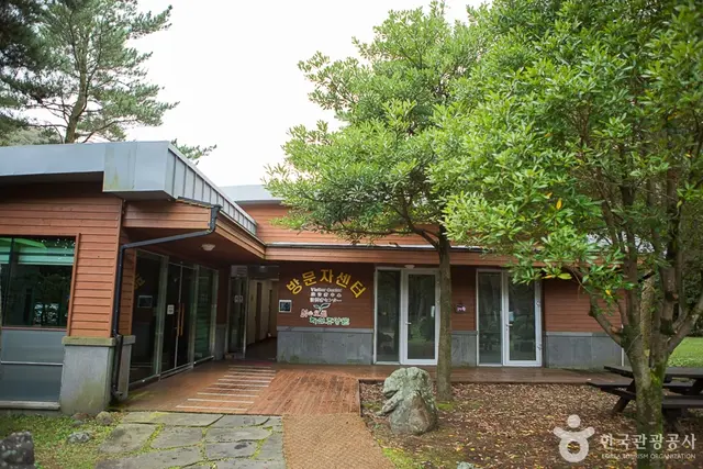 붉은오름자연휴양림 사진