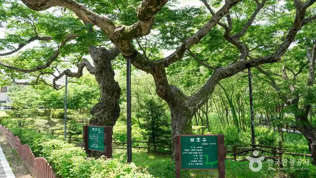 은평한옥마을 사진