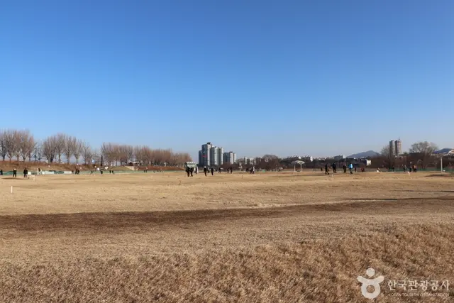 곡교천시민체육공원 사진