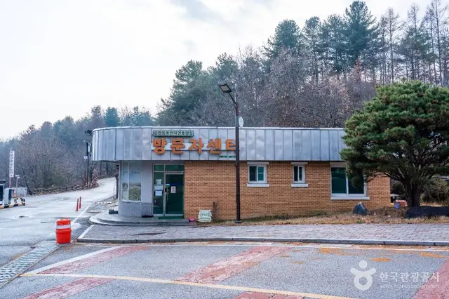 안동호반자연휴양림 사진