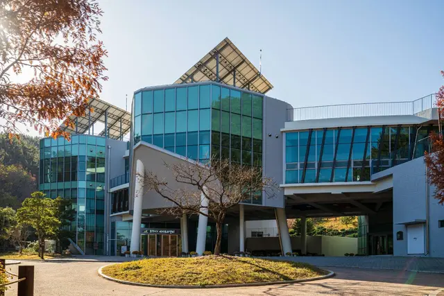 통영RCE세자트라숲 사진