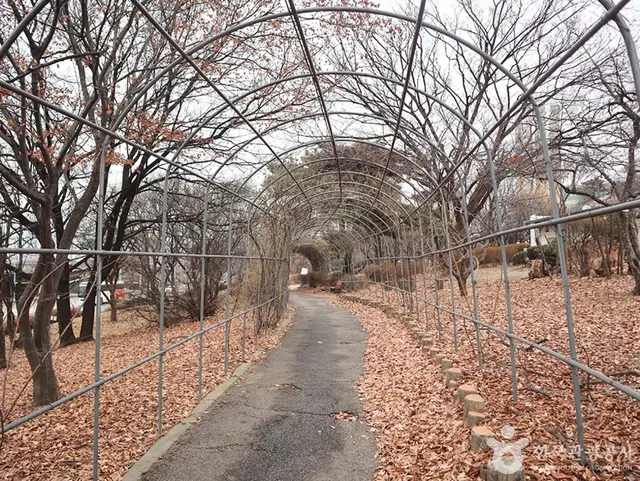 청담도로공원 사진