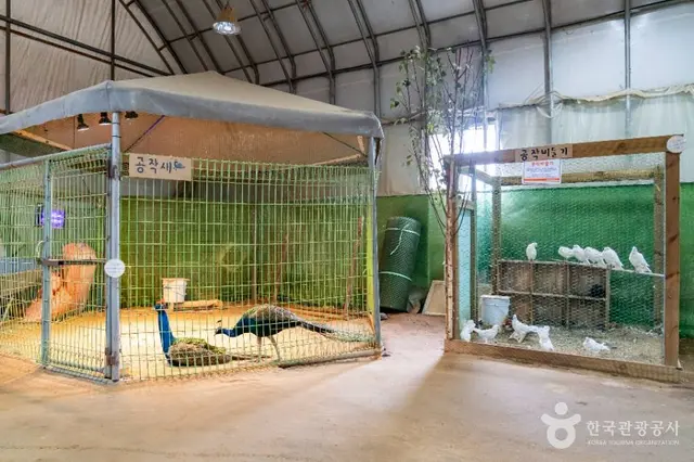 온동물체험농장 사진