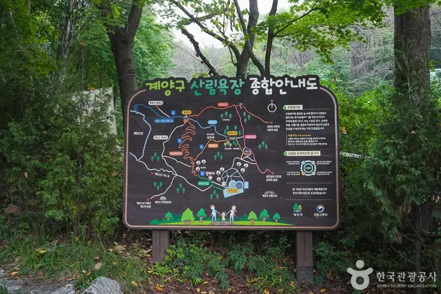 계양산 산림욕장 사진
