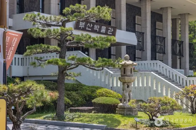 부산박물관 사진
