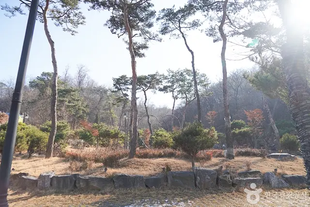 프로방스율암 아쿠아스파 사진