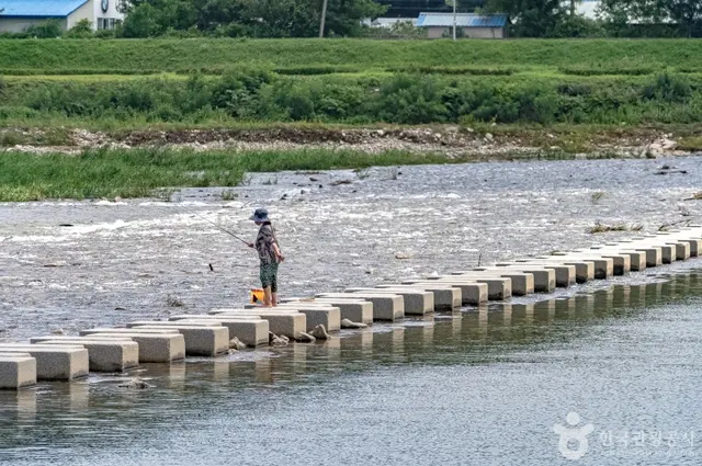 양양남대천체육공원 사진