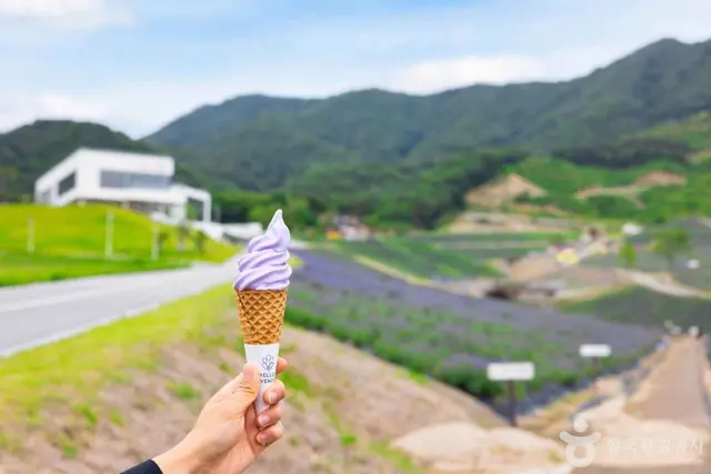 정읍 허브원 사진