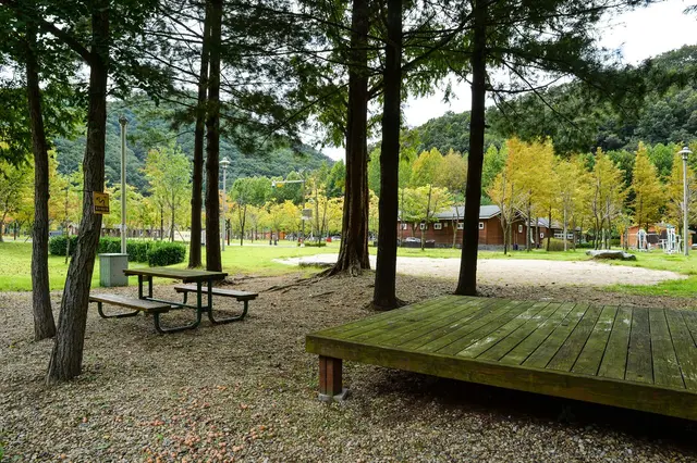 상소동 산림욕장 사진