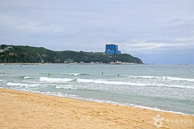금진해변 사진