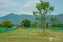 삼랑진생태문화공원 사진