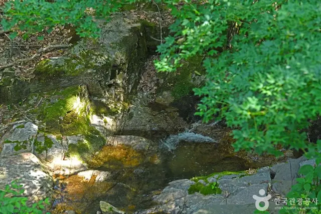 연곡계곡 사진
