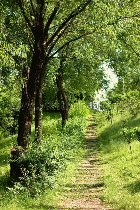 용산가족공원 사진