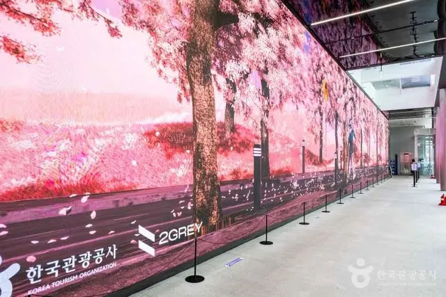 하이커 그라운드 사진