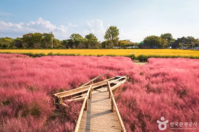 바람새마을 사진