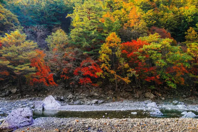 덕풍계곡 사진