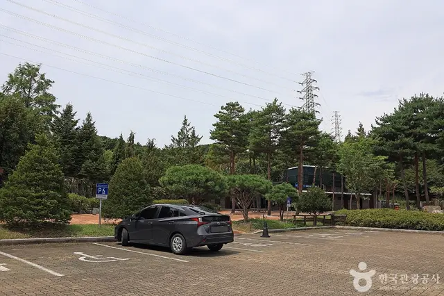 황학산수목원유아숲체험원 사진