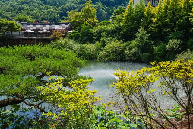 화담숲 사진