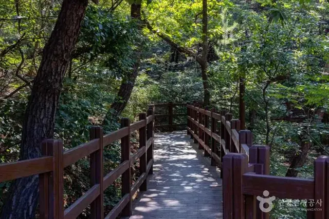 국립대전숲체원 사진