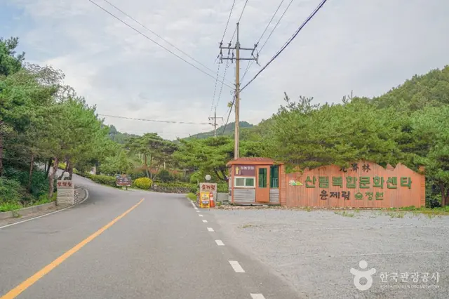 숲정원 윤제림 사진