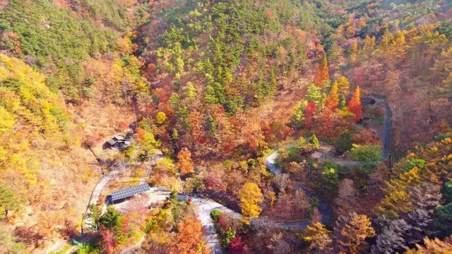 국립속리산말티재자연휴양림 사진