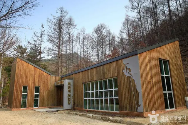 국립 용화산자연휴양림 사진