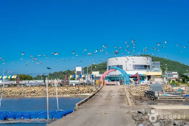 백미리갯벌체험장 사진