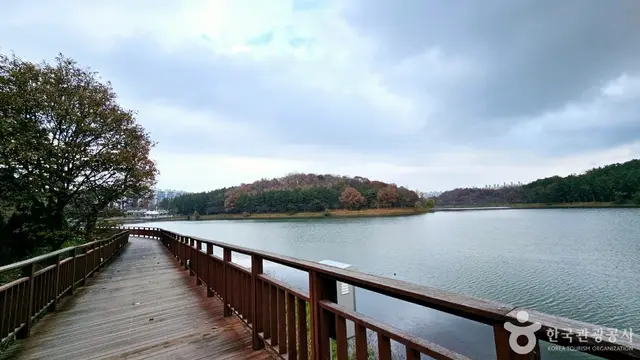 은파호수공원 사진