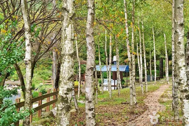 박달재자연휴양림 사진